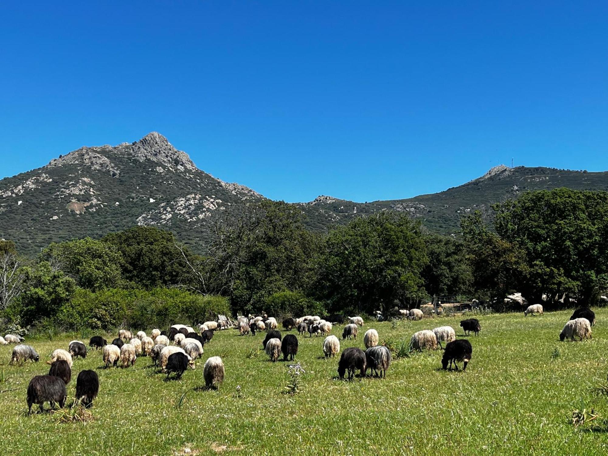 Location Du Ranch Algajola (Corsica) Exterior foto