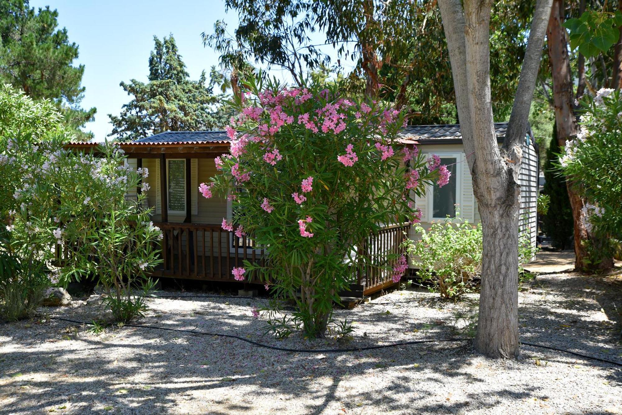 Location Du Ranch Algajola (Corsica) Exterior foto