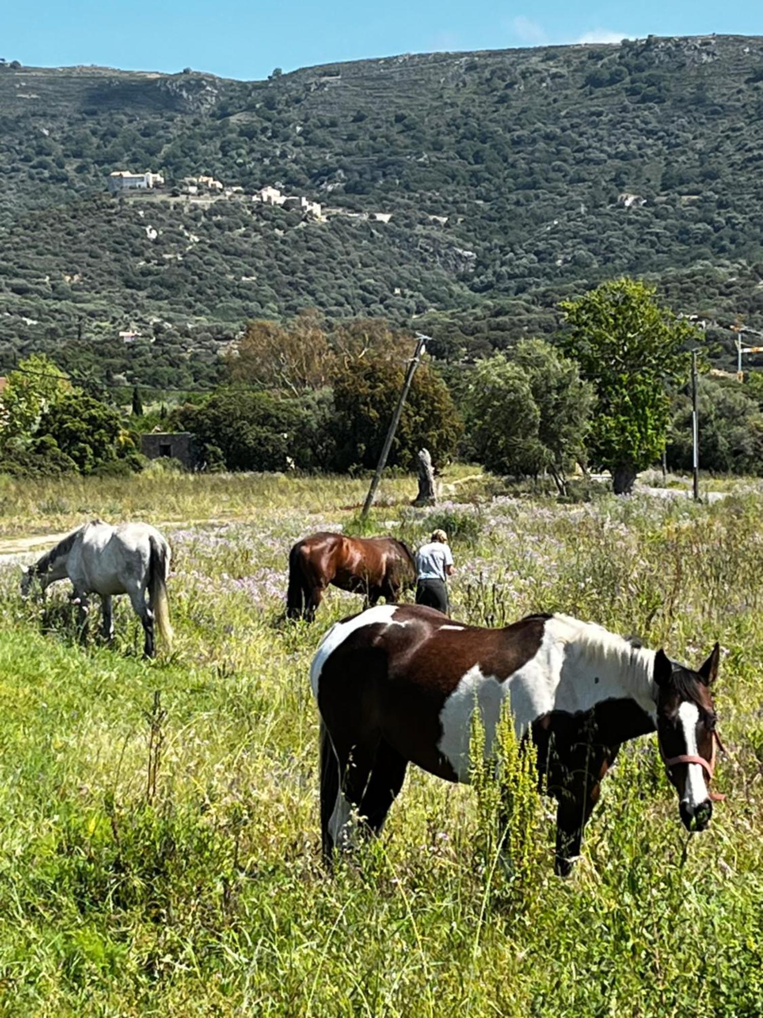 Location Du Ranch Algajola (Corsica) Exterior foto